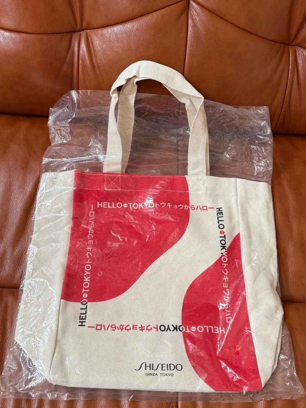 NEW Shiseido Bag